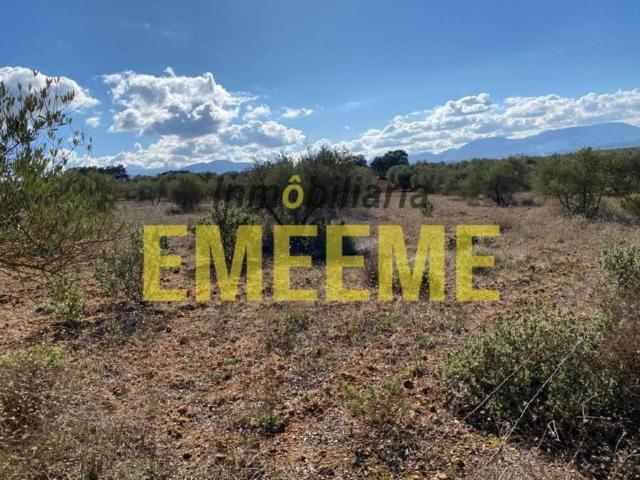 Terreno en Venta en Arriate