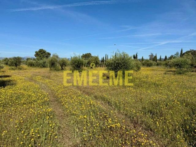 Terreno en Venta en Arriate