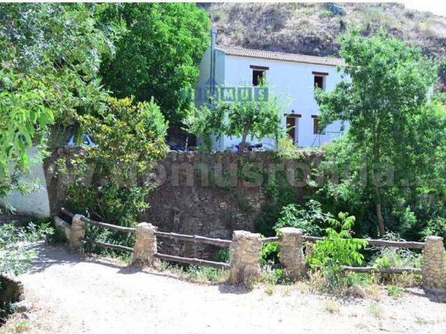 Terreno en Venta en Arriate