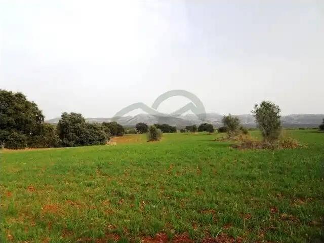 Terreno en Venta en Arriate