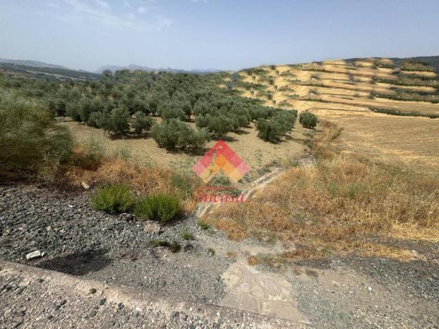 Terreno en Venta en Arriate