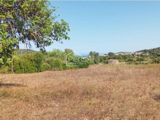 Terreno en Venta en Artà