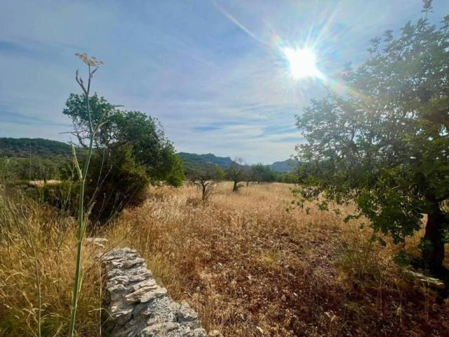 Terreno en Venta en Artà