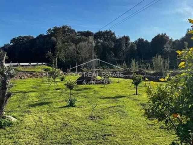 Terreno en Venta en Artà