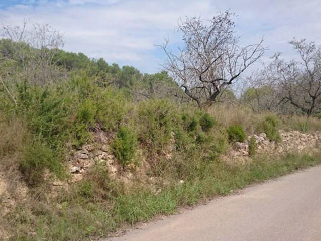 Terreno en venta en Artana