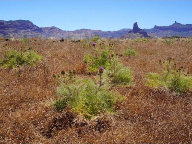 Terreno en Venta en Artenara