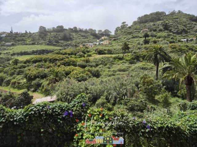 Terreno en Venta en Teror