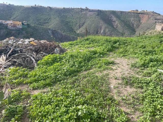 Terreno en Venta en Firgas