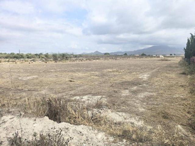 Terreno en Venta en Aspe
