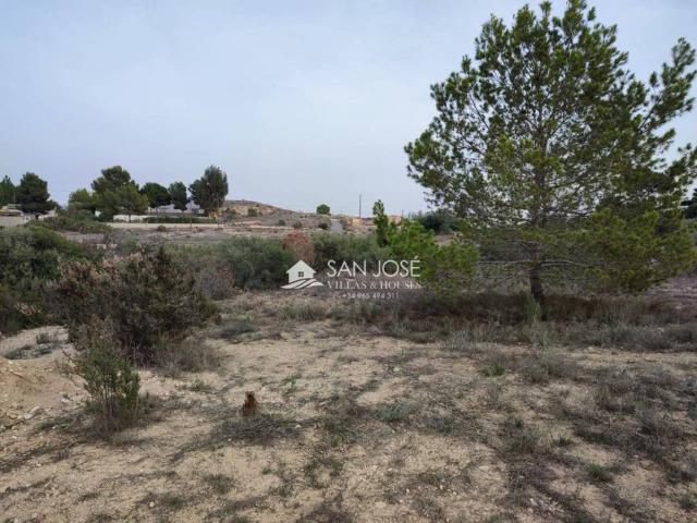 Terreno en Venta en Aspe