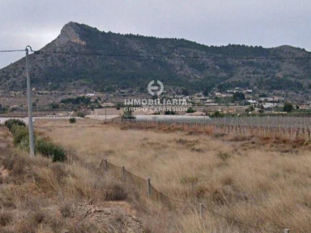 Terreno en Venta en Aspe