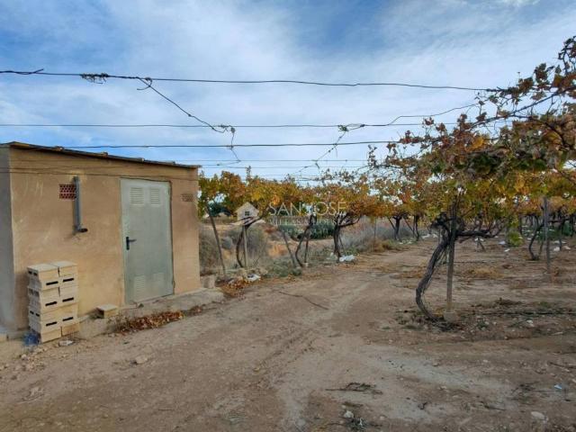 Terreno en Venta en Aspe