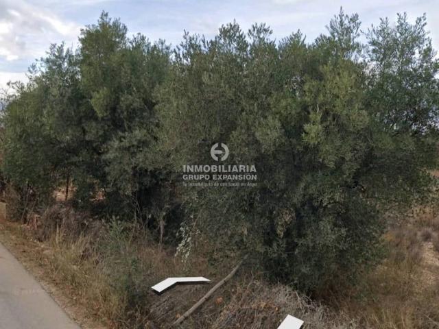 Terreno en Venta en Aspe