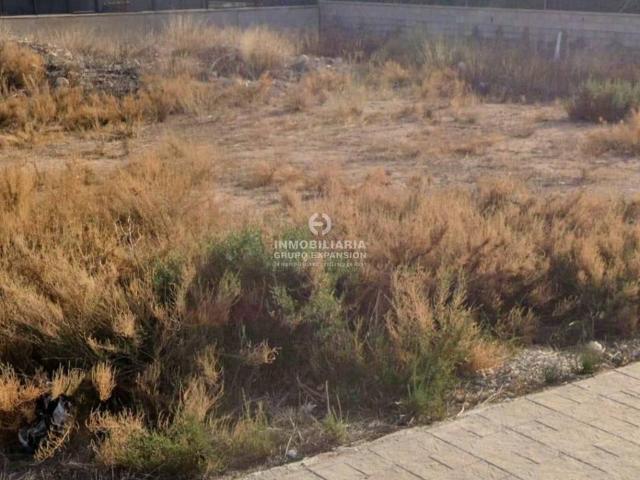 Terreno en Venta en Aspe