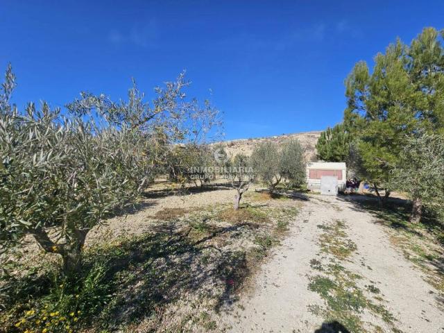Terreno en Venta en Aspe