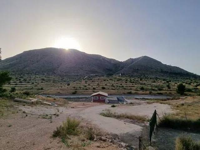 Terreno en Venta en Aspe