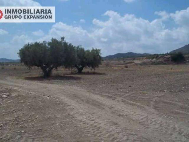 Terreno en Venta en Aspe