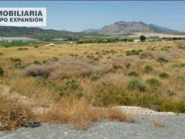 Terreno en Venta en Aspe