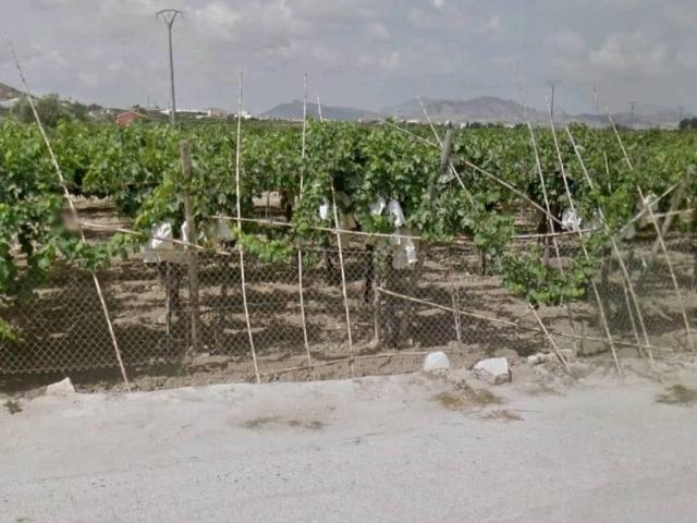 Terreno en Venta en Aspe