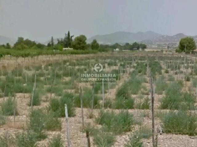 Terreno en Venta en Aspe