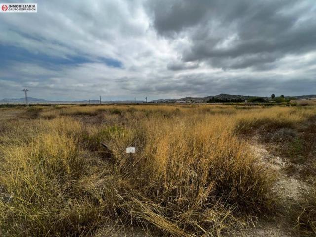 Terreno en Venta en Aspe