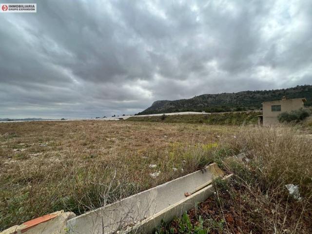 Terreno en Venta en Aspe