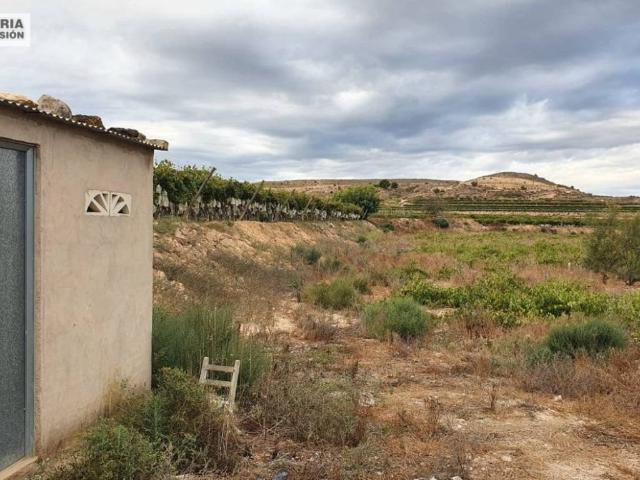 Terreno en Venta en Aspe