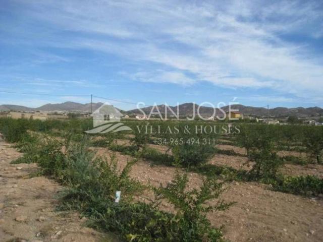 Terreno en Venta en Aspe