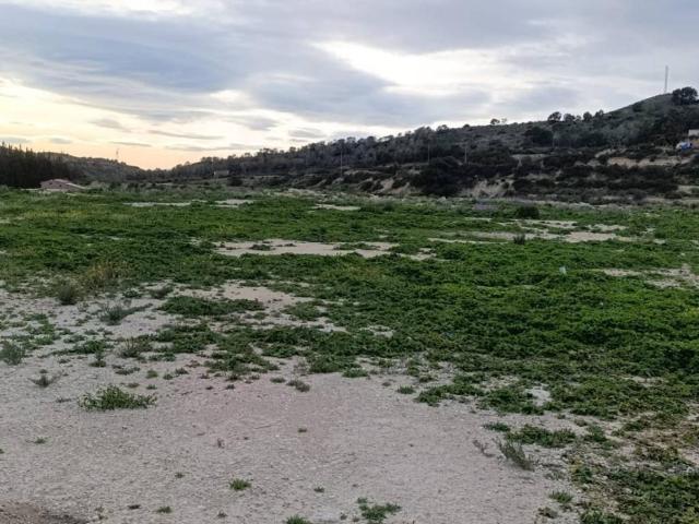 Terreno en Venta en Aspe