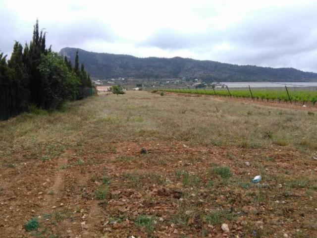 Terreno en Venta en Aspe