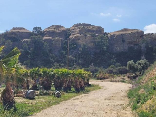 Terreno en Venta en Aspe