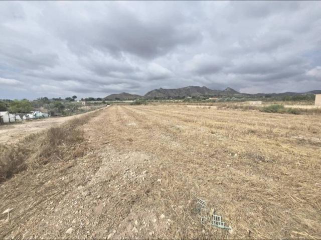 Terreno en Venta en Aspe