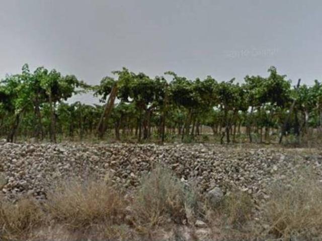 Terreno en Venta en Aspe