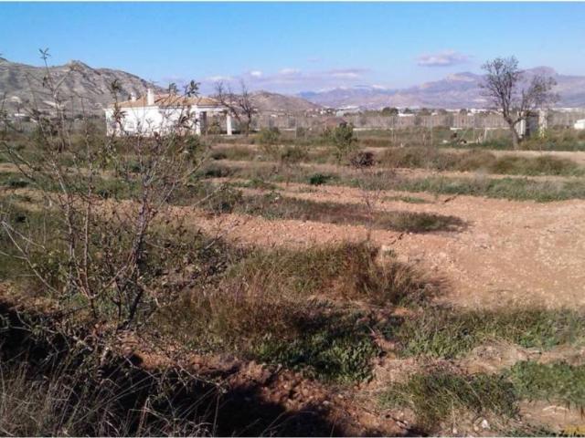 Terreno en Venta en Aspe