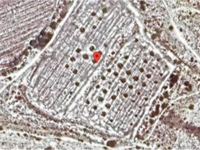 Terreno en Venta en Aspe