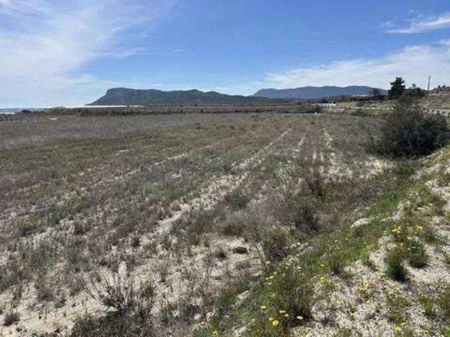 Terreno en Venta en Aspe