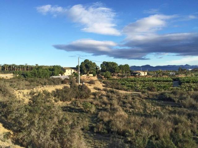 Terreno en Venta en Aspe