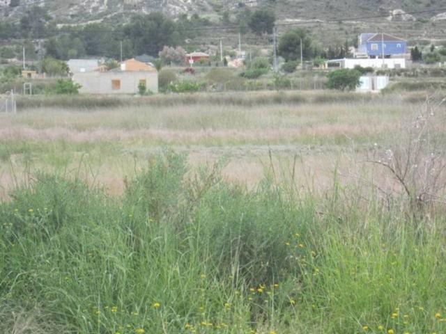 Terreno en Venta en Aspe