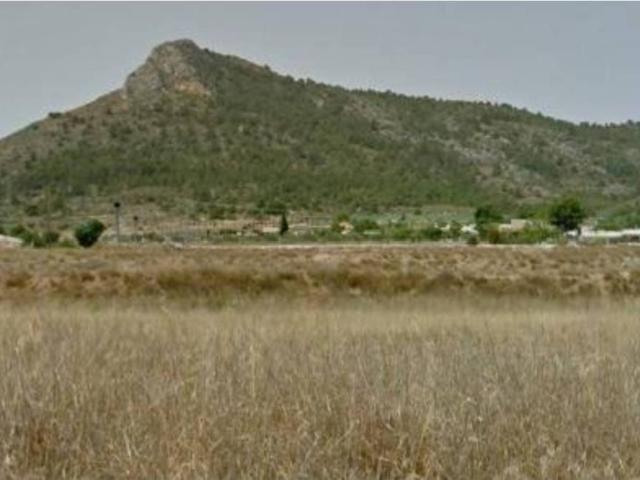 Terreno en Venta en Aspe