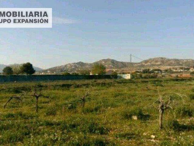 Terreno en Venta en Aspe