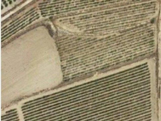 Terreno en Venta en Aspe