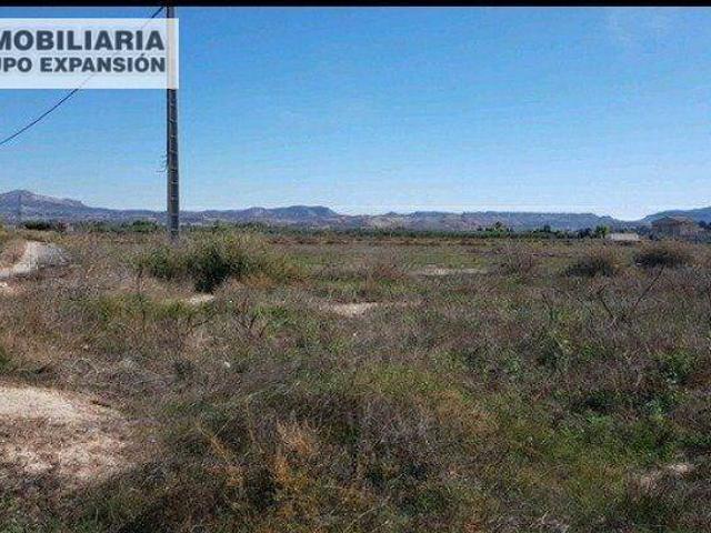 Terreno en Venta en Aspe