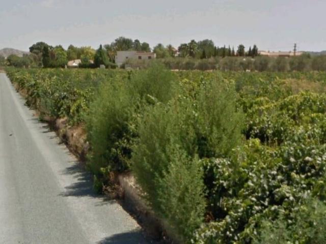 Terreno en Venta en Aspe
