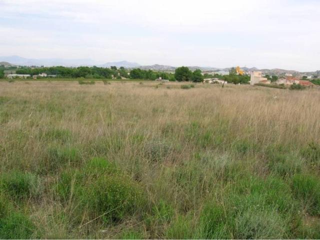 Terreno en Venta en Aspe