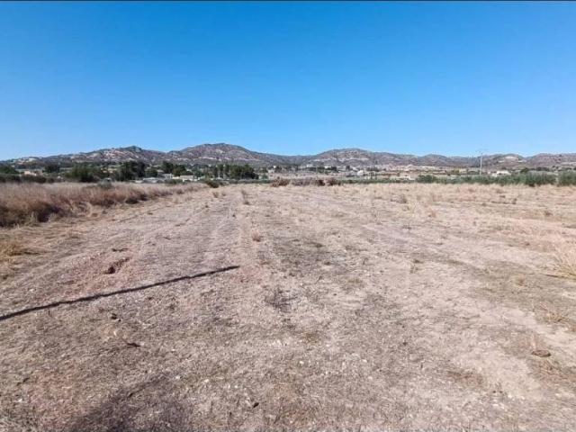 Terreno en Venta en Aspe