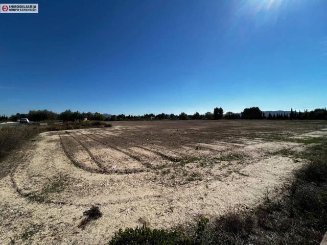 Terreno en Venta en Aspe