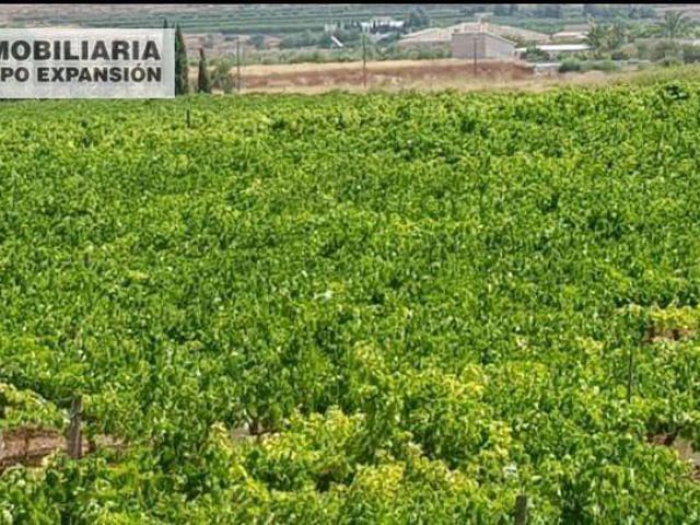 Terreno en Venta en Aspe