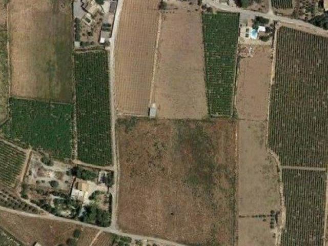 Terreno en Venta en Aspe
