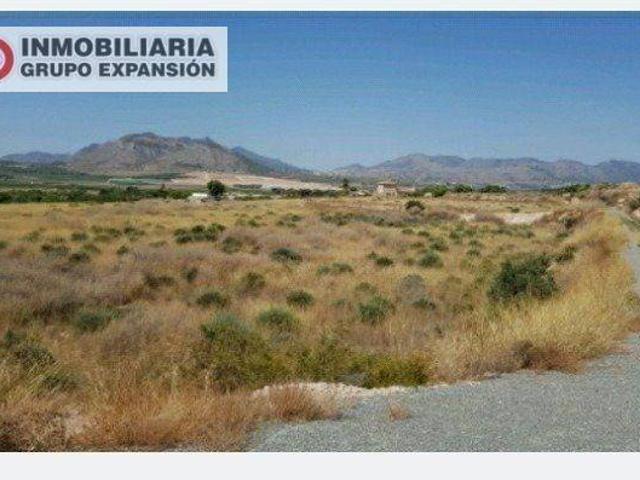 Terreno en Venta en Aspe