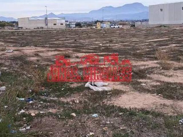 Terreno en Venta en Aspe